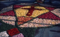 https://ricardramon.net/files/gimgs/th-126_creu_de_flors_en_tamano_mediano.jpeg