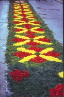 https://ricardramon.net/files/gimgs/th-126_geometria_de_les_flors_en_tamano_mediano.jpeg