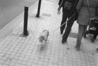 https://ricardramon.net/files/gimgs/th-166_canonet_ilfordhp5_400_adria_2.jpeg